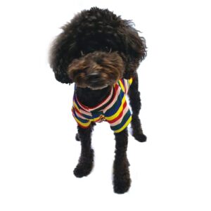 YOUTHDOG Rainbow Yellow Pullover Dog Sweater Sweatshirt Cotton Stretchy Striped Puppy T-Shirt for Small Medium Large Dogs (Small)