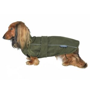 django city slicker all-weather dog jacket & water-repellent raincoat with reflective piping (medium, kombu green)