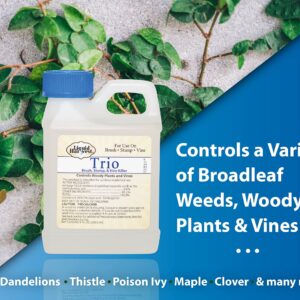 Liquid Harvest Concentrated Brush Killer (Comparable to Leading Triclopyr Brands) - 8oz - Formulated to Control over 70 types of Brush, Vines, Harmful Weeds, and Woody Plants – Also Kills Stumps & Prevents Sprouting