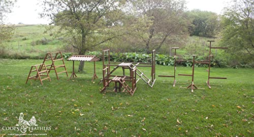 Coops & Feathers Chicken Activity Center-Play, Swing, & Roost-Includes Treat Basket (Small)