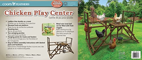 Coops & Feathers Chicken Activity Center-Play, Swing, & Roost-Includes Treat Basket (Large)