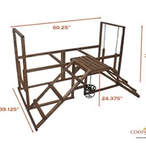 Coops & Feathers Chicken Activity Center-Play, Swing, & Roost-Includes Treat Basket (Large)