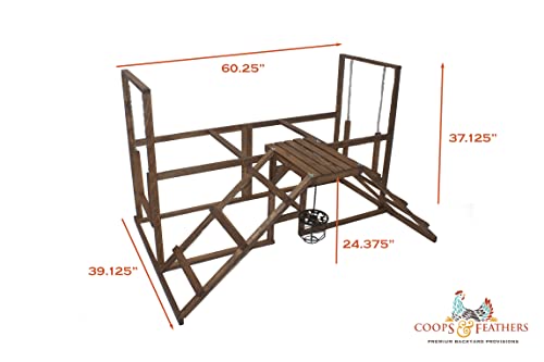 Coops & Feathers Chicken Activity Center-Play, Swing, & Roost-Includes Treat Basket (Large)