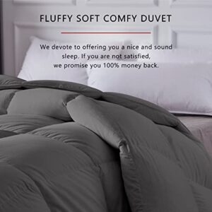 hotkoko Heavyweight Feather Down Comforter Queen Size, Thick Feather Down Duvet Insert or Stand-Alone Comforter, Ultra-Warmth Cotton Comforter with 8 Corner Tabs (Grey, 90x90 Inches)