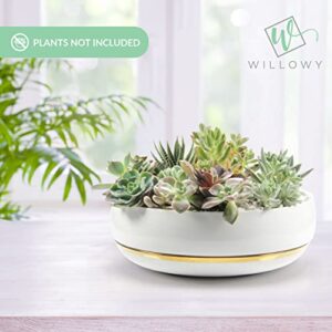 Large Succulent Planter with Drainage Tray - 10 Inch White Bowl with Metallic Gold - Modern Bonsai, Cactus, & Succulent Pot with Saucer - No Plants Included