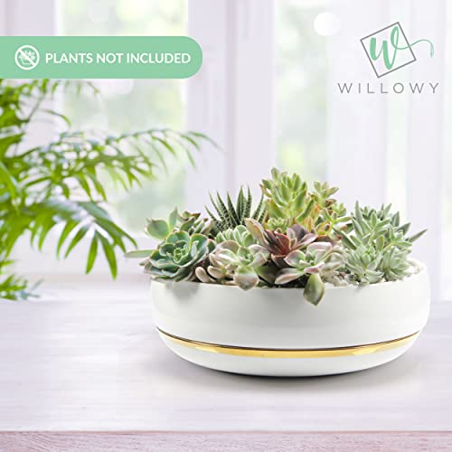 Large Succulent Planter with Drainage Tray - 10 Inch White Bowl with Metallic Gold - Modern Bonsai, Cactus, & Succulent Pot with Saucer - No Plants Included