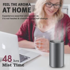 Household air Purifier with Essential Oil Diffuser, Suitable for deodorizing and Removing Formaldehyde in Offices,Living Rooms and bedrooms, Suitable for Smokers,Peculiar Smell,dust,Pollen,pet Dander