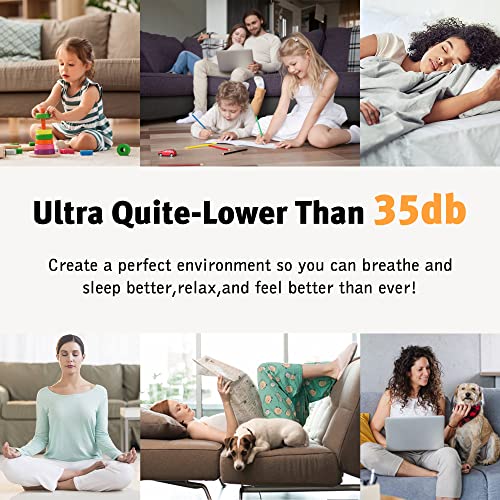 Household air Purifier with Essential Oil Diffuser, Suitable for deodorizing and Removing Formaldehyde in Offices,Living Rooms and bedrooms, Suitable for Smokers,Peculiar Smell,dust,Pollen,pet Dander