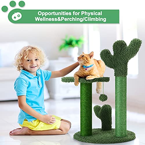 T2Y Cat Scratching Post - Cactus Cat Scratcher Tower with 3 Scratch Post and Dangling Bell Ball, Full Wrapped Premium Natural Sisal Scratching Post for Indoor Cats - Medium