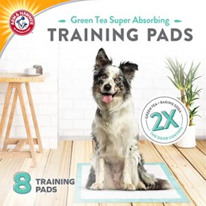 Arm & Hammer Green Tea Pet Training Pads | 8-Ct Dog Training Pads with Super Absorbing Green Tea Baking Soda for 2X The Odor Control | Leakproof & Recycled Training Pads for Dogs