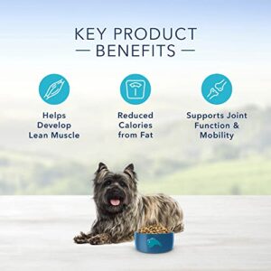 Blue Buffalo Life Protection Formula Natural Adult Small Breed Healthy Weight Dry Dog Food, Chicken and Brown Rice 5-lb Trial Size Bag