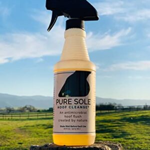 Pure Sole Hoof Cleanse - All Natural Formula with Thrush Fighting Ingredients to Maintain a Healthy Hoof and Frog - 16 oz. Spray