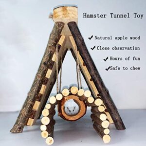 Hamiledyi Wooden Hamster Climbing Toy Guinea Pigs Activity Perch Platform Steps Stairs Gerbil Hanging Chew Tunnel Tube with Apple Wood Bridge