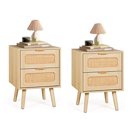 LAZZO Set of 2 Nightstands Wooden Night Stands with Rattan Drawers Home Bedside End Table for Bedroom (2 Drawers Design)