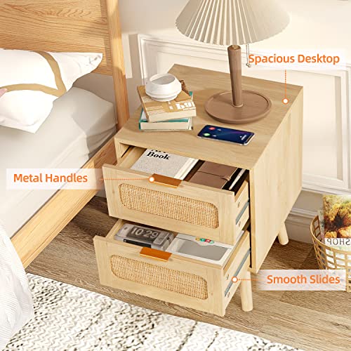 LAZZO Set of 2 Nightstands Wooden Night Stands with Rattan Drawers Home Bedside End Table for Bedroom (2 Drawers Design)