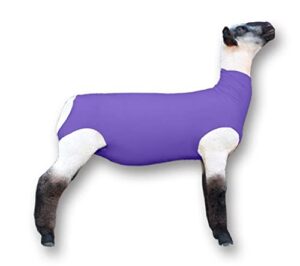 show pro purple spandex lamb tube for show sheep & lamb - show livestock supplies: sheep covers & blankets (large)