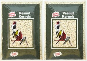 valley farms peanut kernels - clean & fresh (value 2-pack 8 lbs total)