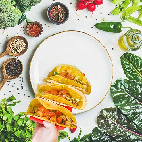 GINKGO Taco Holder Stand Set of 6 and Colorful Taco Holders Set of 6 Taco Taco Tray Plates with Handle Very Sturdy and Durable Dishwasher and Microwave Safe