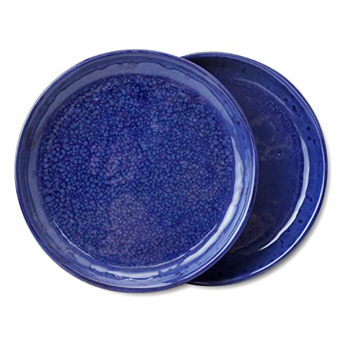 roro 7-Inch Ceramic Appetizer Plates - Handcrafted Stoneware with Unique Glossy Reactive Blue Bubble Finish, Ideal for Serving & Plating Gourmet Dishes, Durable & Elegant Design, Set of 2