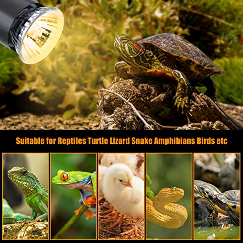 LEDBOKLI Reptile Heat Lamp Holder with Thermometer, 2 Heat Lamp Bulbs for Reptiles 25W 50W 110V UVA UVB Heat Lamp for Reptiles Replacement E26 Heat Lamp Bulbs for Reptiles Turtle Lizard Snakes Chicken