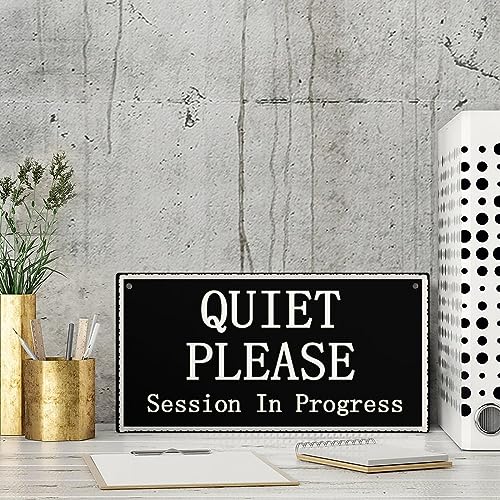 Quiet Please Session in Progress Functional Small Office/Home Treatment Room Hanging Door Sign 12 inch by 6 inch