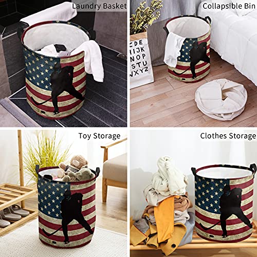 Laundry Hamper, Hockey Sport Theme Athlete Rustic American Flag Collapsible Clothes Hamper with Handles Water Repellent Freestanding Storage Basket for Clothes Toys