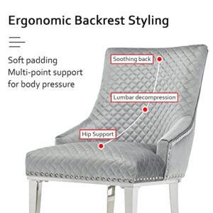 AZhome Dining Chairs, High-End Silver Gray Velvet Upholstered Dining Room Chairs with Silver Metal Legs, Set of 2