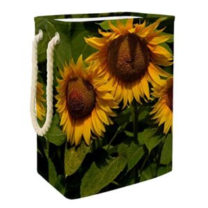 inhomer sunflower three flower plant supplies yellow large laundry hamper waterproof collapsible clothes hamper basket for clothing toy organizer, home decor for bedroom bathroom
