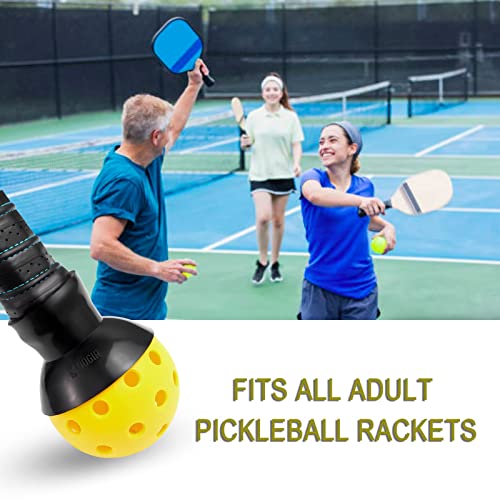 EASYPICK Pickleball Ball Retriever Picker Upper: Fits All Standard Pickleball Paddles, Easy Attaches Pickleball Paddles, The Easy Way Pick Up Pickleball Balls Without Bending Over, Black (1 Pack)