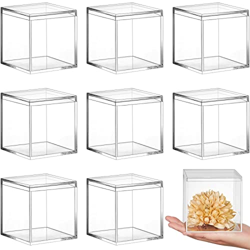 8 Pieces Clear Acrylic Plastic Jewelry Box Mini Storage Box Mini Cube Containers with Lids Storage Candy Box for Candy Pill and Tiny Jewelry (Square, 3.9 x 3.9 x 3.9 Inch)