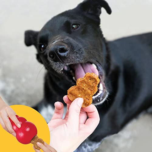 KONG - Jerky - All Natural Soft Jerky Dog Treats - Chicken Flavor, Fits X-Small to Medium, 5 oz, Made in The USA