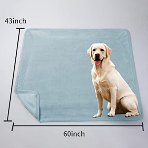 Shilucheng Dog Blanket with Fluffy Premium Fleece Throw for Dog,Puppy, Cat,Pet .Blanket Throw Protects Couch, Bed, Car Seat. (M(43"X60"),Turquoise)