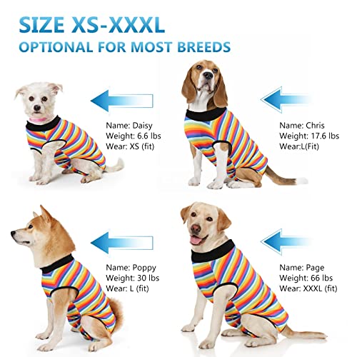 Pawcomon Dog Onesie After Surgery Recovery Suits Puppy Surgical Pajamas Cat Clothes for Male Female Small Medium Dogs Bodysuit