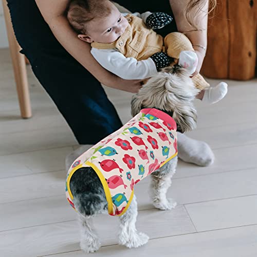 Gorsbark Dog Recovery Suit Cat Pet Surgical Suit After Surgery Breathable Substitute E-Collar & Cone Professional Protective Shirt for Abdominal Wound