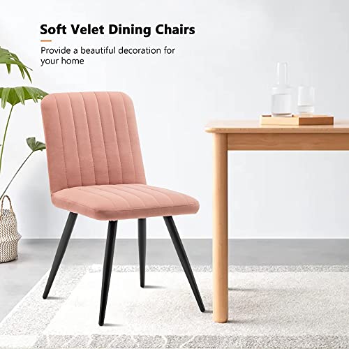 ALISH Mid Century Modern Dining Chairs Upholstered Dining Room Chairs Set of 2 Armless Accent Chairs Kitchen Chairs Side Chairs with Metal Legs for Home Kitchen(Pink, Set of 2)