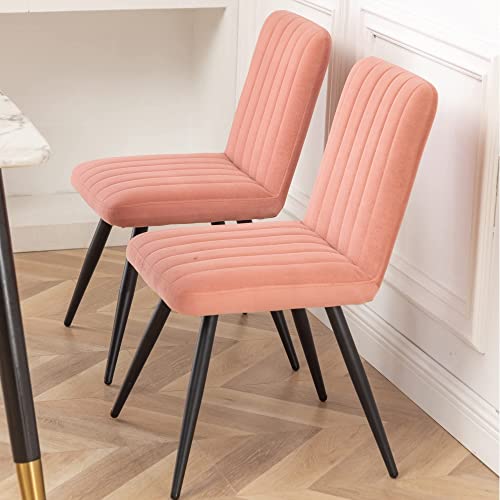 ALISH Mid Century Modern Dining Chairs Upholstered Dining Room Chairs Set of 2 Armless Accent Chairs Kitchen Chairs Side Chairs with Metal Legs for Home Kitchen(Pink, Set of 2)