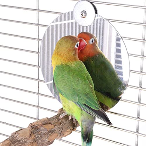 Bird Mirror with Perch Cockatiel Conure Parrot Mirror Toys Cage Perch Chewing Toys Feet Grinding Toys for Amazon Greys