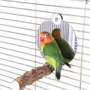 Bird Mirror with Perch Cockatiel Conure Parrot Mirror Toys Cage Perch Chewing Toys Feet Grinding Toys for Amazon Greys