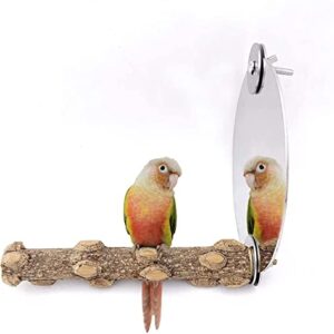 Bird Mirror with Perch Cockatiel Conure Parrot Mirror Toys Cage Perch Chewing Toys Feet Grinding Toys for Amazon Greys