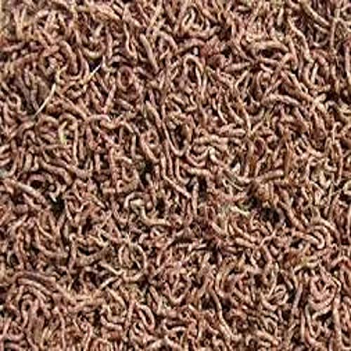 Aquatic Foods 5oz Bloodworms, Freeze Dried Fresh Grade A Floating Bloodworms for All Tropical Fish, Bettas, Discus, Cichlids, Community Turtles, Carnivore Carnivorous Plants. Bag