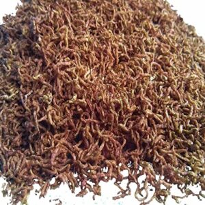 Aquatic Foods 5oz Bloodworms, Freeze Dried Fresh Grade A Floating Bloodworms for All Tropical Fish, Bettas, Discus, Cichlids, Community Turtles, Carnivore Carnivorous Plants. Bag