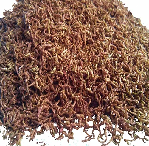 Aquatic Foods 5oz Bloodworms, Freeze Dried Fresh Grade A Floating Bloodworms for All Tropical Fish, Bettas, Discus, Cichlids, Community Turtles, Carnivore Carnivorous Plants. Bag