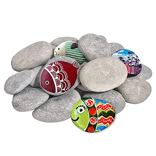 DALTACK 20PCS Large Rocks,Natural River Flat Rocks for Painting, 2"-3" Inches Stones for Arts & Craftingt