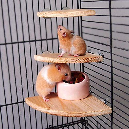 NC Wooden Coin Parrot Bird Cage Perches Stand Platform Pet Budgie Hanging Toy Pet Toys (Color : L)