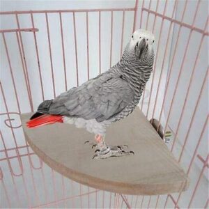 NC Wooden Coin Parrot Bird Cage Perches Stand Platform Pet Budgie Hanging Toy Pet Toys (Color : L)