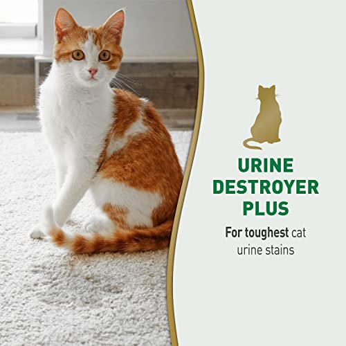 Nature's Miracle Urine Destroyer Plus Cat, 128 Ounce, Tough on Strong Cat Urine and The Yellow Sticky Residue