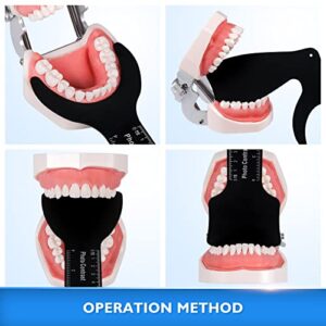 Annhua Dental Contraster Intraoral Photographic, 6 PCS Dental Photo Contrast Kit Palatal Intraoral Photography Kit Black Background Board for Dental Clinic, Lab - Autoclavable