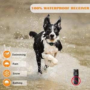 FATEAR Dog Shock Training Collar with Remote 2000ft for Large Medium Small Dogs, Rechargeable Waterproof Electric Collar with 3 Modes, Beep, Vibration and Shock
