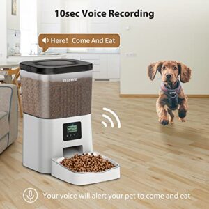 Automatic Cat Feeder, ZEALINNO 4L Pet Food Dispenser with Stainless Steel Bowl for Programmable Control 4 Meals Per Day and 10s Voice Recorder Timed Cat Feeder