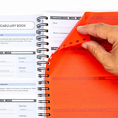 Pukka Pad B5 Vocabulary Book with 520 Word Capacity – Includes 20 Repositionable Alphabetised Dividers – Learn Synonyms, Antonyms, and Use in a Sentence – 100GSM